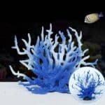 Corail artificiel pour aquarium de feu Milka bleu