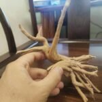 Deco racine aquarium naturel artisanale en bois