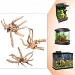 Décor aquarium naturel - Racine pour aquarium Araignée grand et petit aquarium
