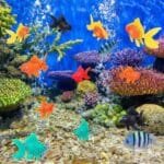Le faux poisson pour aquarium flottant et décoratif transforme instantanément l’ambiance