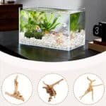 Racine pour nano aquarium naturelle et décorative