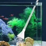 S765558b200154ce7bb6fd1375f573de copie 2