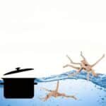 S7cd73c37bfa54e14af793b8b7f83ebd_cleanup