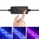 S83a7e8d905724e449597842234e99c0_cleanup Cropped