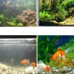 S981d0444ef214f6c80b505c06a264f3_cleanup copie 3