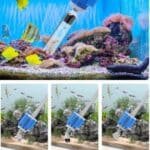 Sf095bfc96b244611b4b43d638755356_cleanup Cropped copie