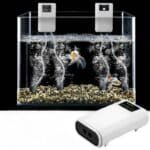 bulleur-aquarium-silencieux-sans-fil-pompe-aquarium