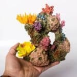 corail-artificiel-pour-aquarium-jaune-et-rose