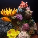 corail-artificiel-pour-aquarium-multicouleur