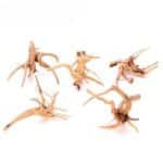 deco racine aquarium 160g