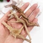 decor aquarium naturel racine bois flote