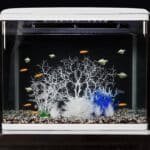 decoration aquarium faux corail en resine bleu et blanc