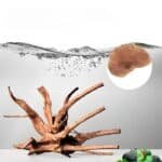 décoration aquarium naturel araignee