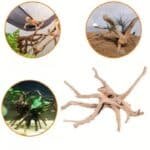 decoration naturel pour reptil et poisson racine pour aquarium