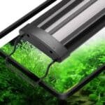 éclairage led pour aquarium planté 100 cm