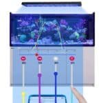 lampe led aquarium marin