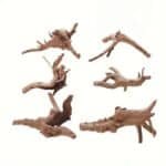 lot racine aquarium bois mangrove sec lot de 6 pieces