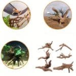 lot racine aquarium bois mangrove sec pour reptile poisson bnano aquarium