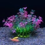 plante aquarium artificielle