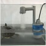 pompe pour vider un aquarium tortue d eau