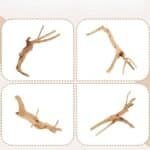 racines naturelles pour petit aquarium beta crevette