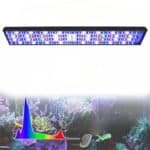 rampe led aquarium recifal avec wifi