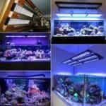 rampe led aquarium recifal haute game