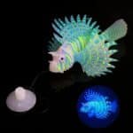 un poisson qui nage sur ventouse poisson phosphorescent aquarium bleu
