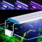 une Rampe LED aquarium 60 cm réglable