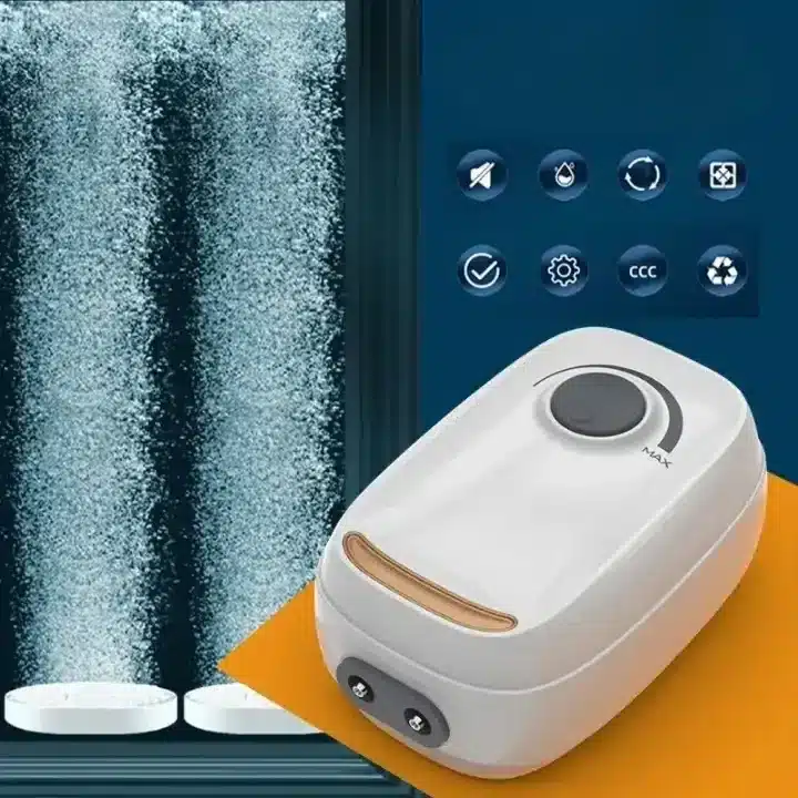 Quelle pompe pour aquarium 60L ? Nos conseils pour faire le bon choix