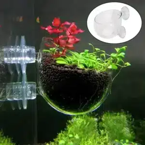 Support-plante-aquarium-Discret-a-Fixer