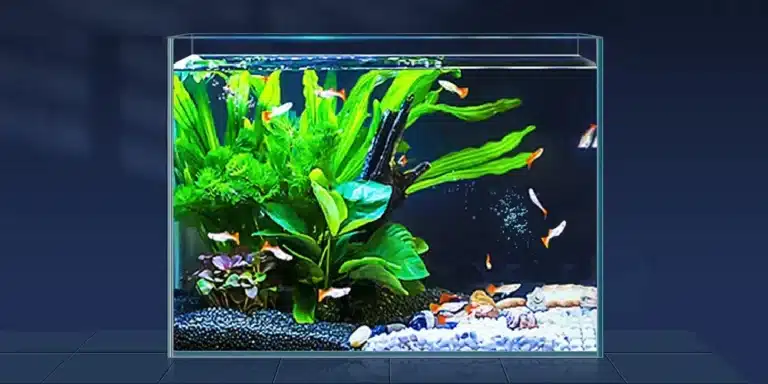 comment-decorer-un-petit-aquarium-avec-style
