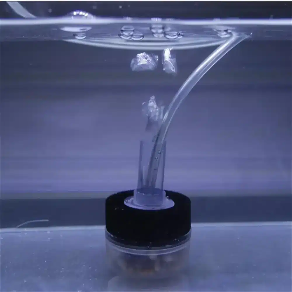 Quel filtre pour aquarium crevette ? Le bon choix pour un bac sain et sans stress