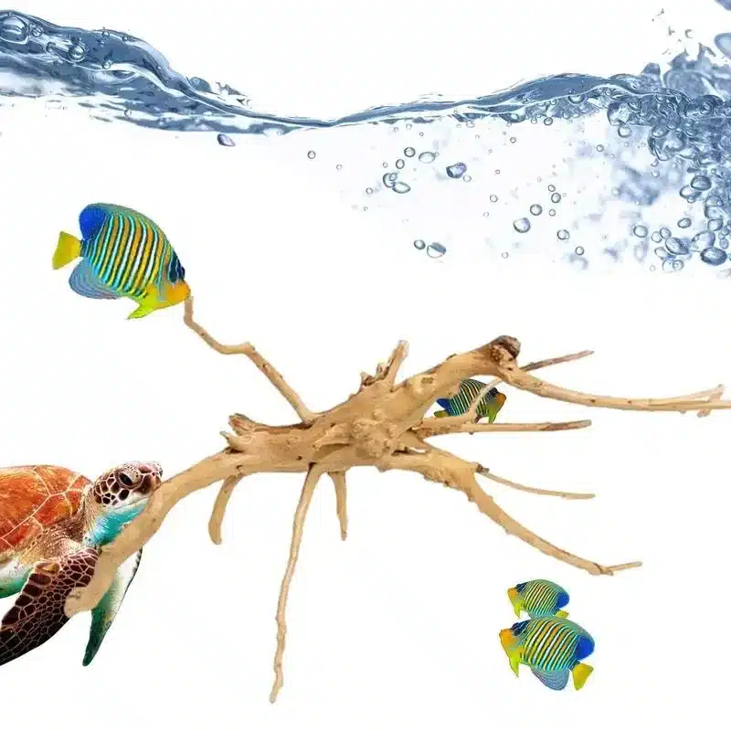 Quelle racine pour aquarium d’eau douce : naturelle, résine ou artificielle ?