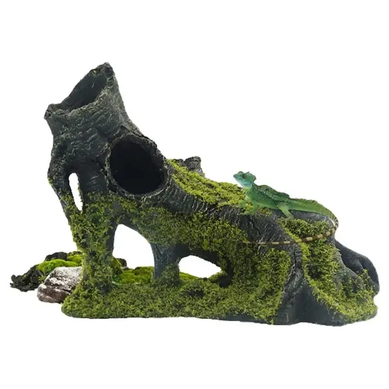 Quelle racine choisir pour un aquarium d’eau douce ?