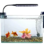 Untitled design (28) copie