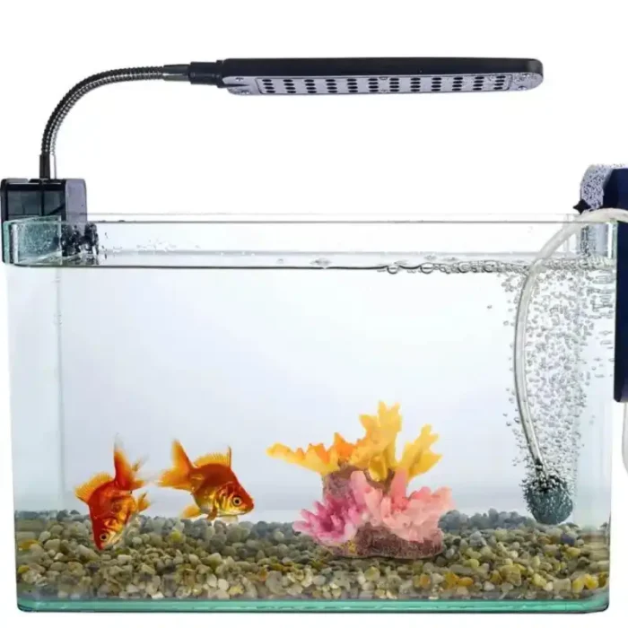 Untitled design (28) copie