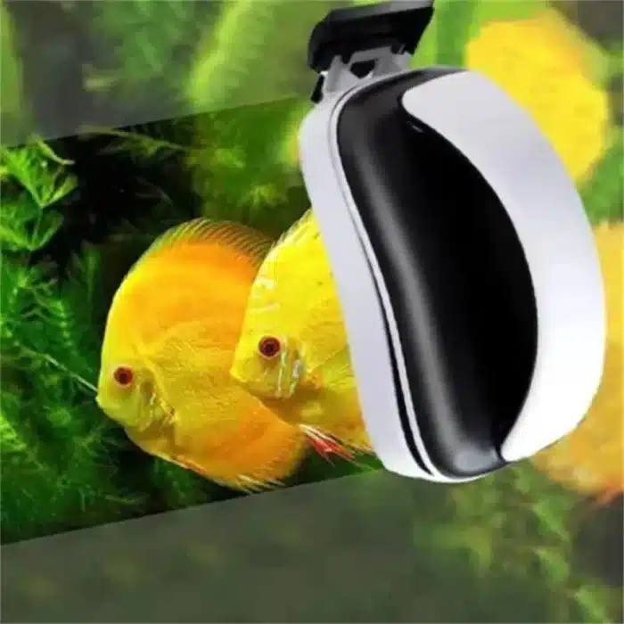 aimant-aquarium-avec-lame-vitrre-aquarium-