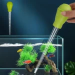 aquarium-pipette-netoyage-crevette-poisson-vert