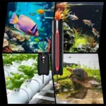 chauffage-aquarium-400l-puissant-800w