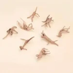 decoration-racine-aquarium-style