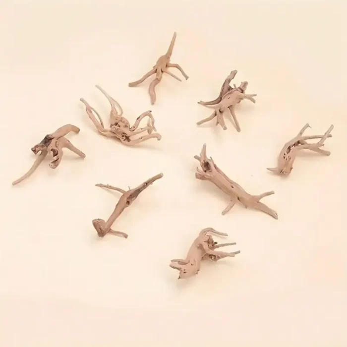 decoration-racine-aquarium-style