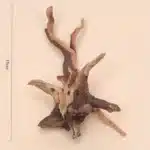 decoration-racine-aquarium-taille-grand-