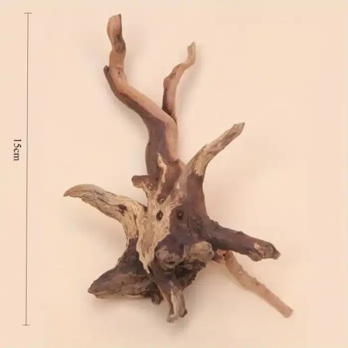 decoration-racine-aquarium-taille-grand-