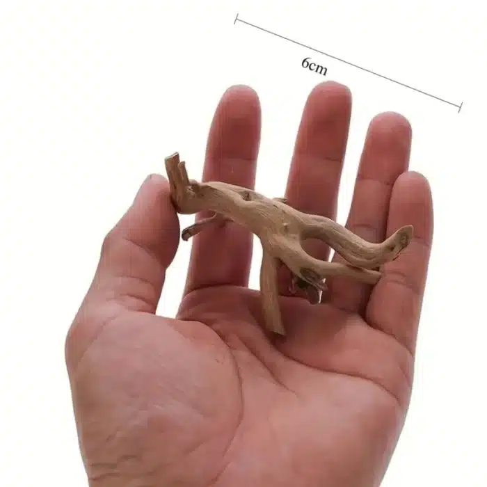 decoration-racine-aquarium-taille-moyen