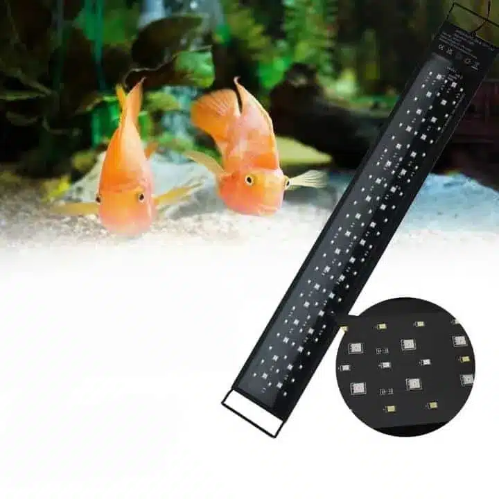 Quel Eclairage LED pour Aquarium Planté ? Le Bon Choix dès le Départ