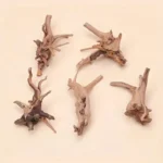 kit-decoration-racine-aquarium-style-araignee