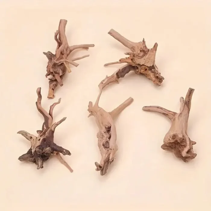 kit-decoration-racine-aquarium-style-araignee