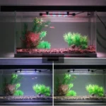 lampe-led-aquarium-20l-submersible