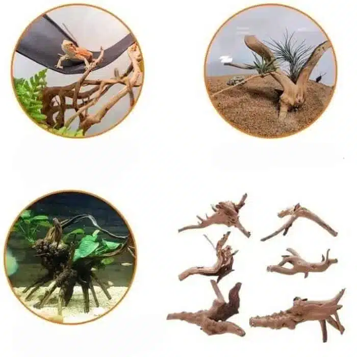 Quelle racine pour un aquarium d’eau douce naturelle ?